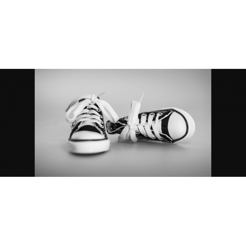 Stokton Sneaker 111-004